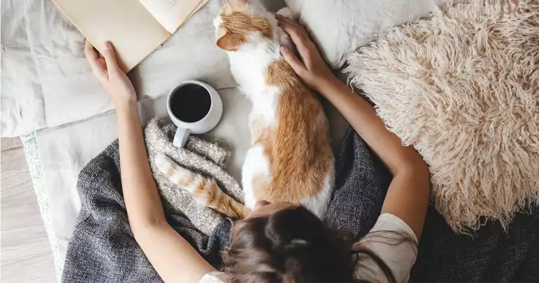 tips for getting cozy in the fall