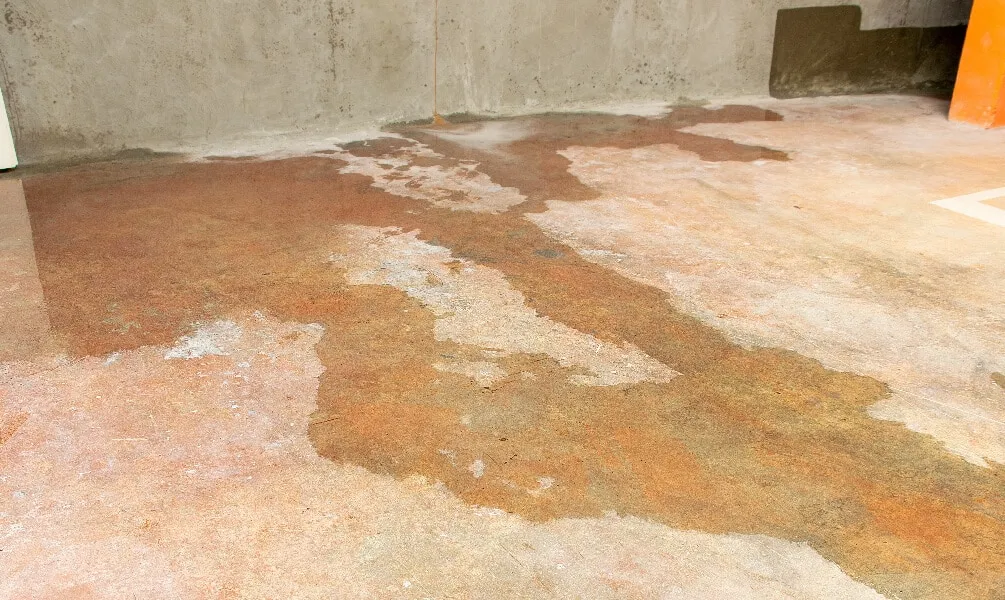 Standing water and damp stains spread across a concrete floor in an unfinished basement with gray cinder block walls.