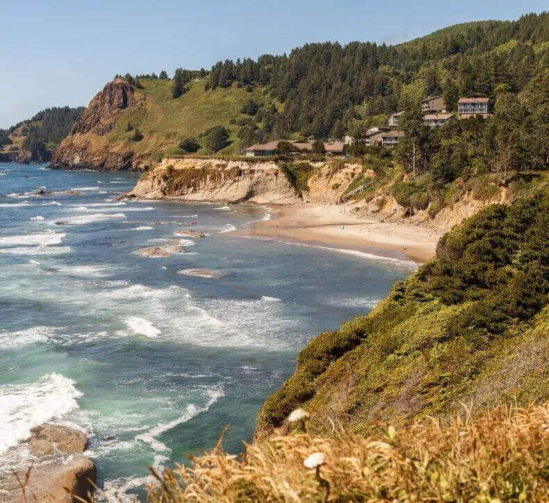 Ocean waves crashing against rugged cliffs and a sandy beach with houses nestled in a pine forest above.