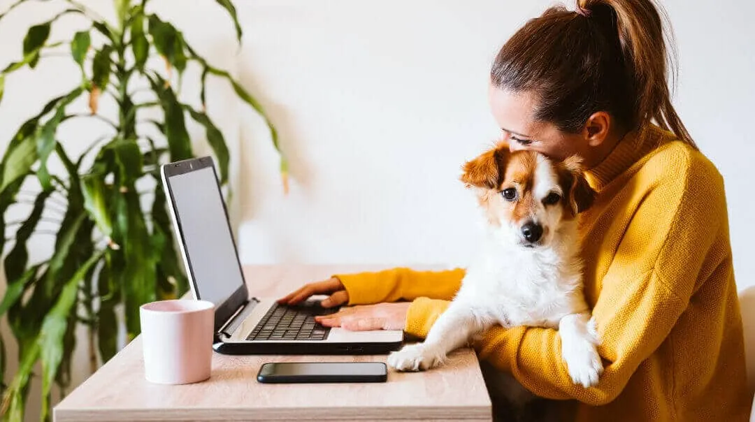 A woman in a yellow sweater types on a laptop while cuddling a small brown and white dog at a desk.